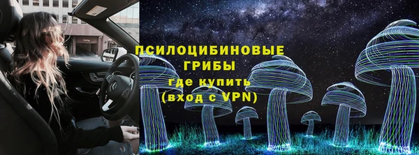 шишки Алексеевка