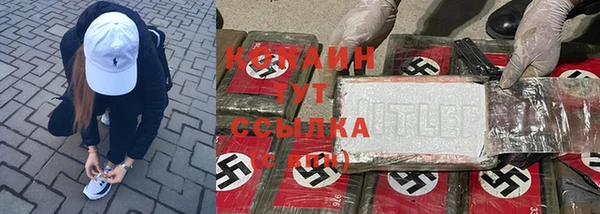 шишки Алексеевка